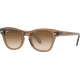 Ray-Ban RB0707S 664051