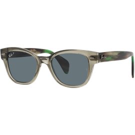 Ray-Ban Sonnenbrille RB0880S 66353R