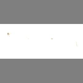 Fraims Brille 03-97010-01 Kim, Ingwer Kunststoff