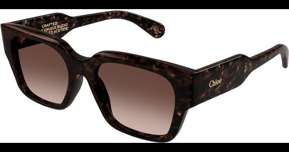 Chloé CH0190S HAVANA Sonnenbrille - Ansicht 2