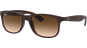 Ray-Ban RB4202 Andy Braun 607313 55