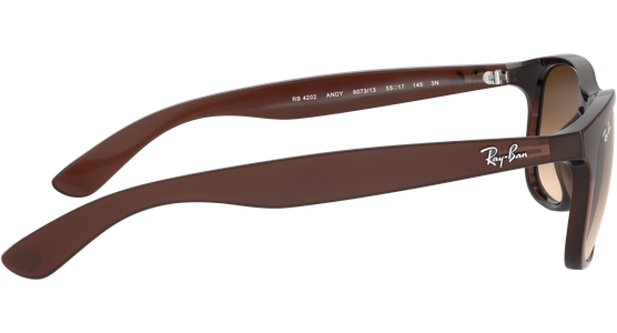 Ray-Ban RB4202 Andy Braun 607313 55 - Ansicht 14