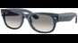 Ray-Ban Mega Wayfarer II RB0832S 684532