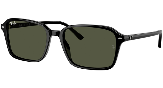 Ray-Ban Raimond RB2231 901/31 - Sonnenbrille Unisex - Fassung: Schwarz, Acetat, Eckig - Ansicht 2