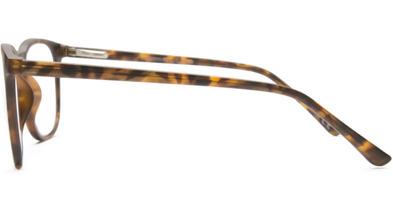 4read CONCEPT Berlin Havanna 2,0 Dioptrien  - Ansicht 4