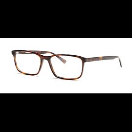 Fraims Brille 03-97070-03 Phil, Havanna