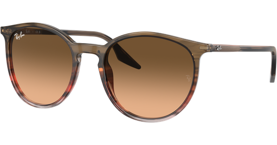 Ray-Ban RB2204 13953B Sonnenbrille - Ansicht 2