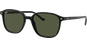 Ray-Ban Leonard RB2193 Glänzend Schwarz / Grün 901/31 53