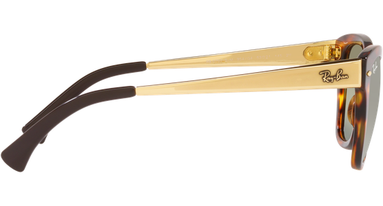 Ray-Ban RB0707SM 954/G4 - Ansicht 10