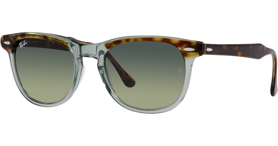 Ray-Ban Sonnenbrille Unisex Ray-Ban Eagle Eye RB2398 1376BH Ansicht 1