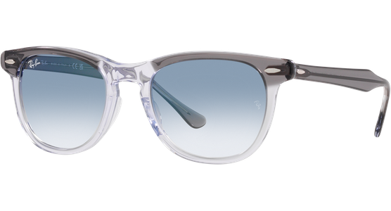 Ray-Ban Eagle Eye RB2398 13553F - Ansicht 2