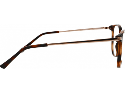 Studio Milano Brille Damen Studio Milano 01-20120-02 5217 Ansicht 4