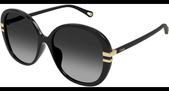 Chloé CH0207SK BLACK Schmetterling Sonnenbrille - Ansicht 2