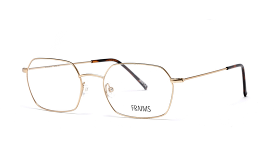 FRAIMS 03-97240-02 Taylor, Gold Matt Brille - Ansicht 2