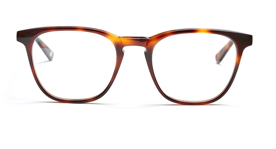 FRAIMS 03-97110-01 Bruce, Dunkel Havanna - Ansicht 3