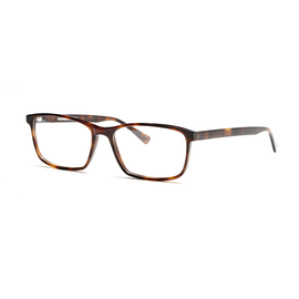 Fraims Brille 03-97070-03 Phil, Havanna