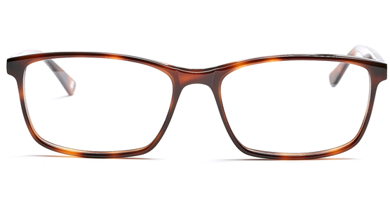 FRAIMS 03-97070-03 Phil, Havanna - Ansicht 3