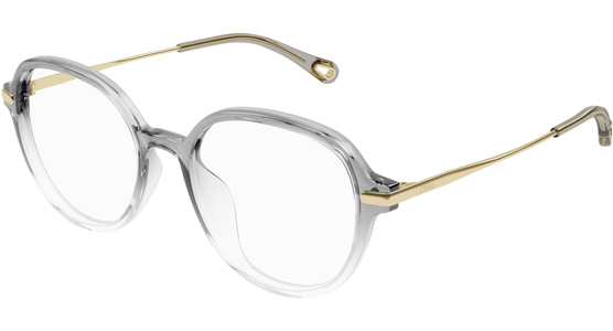 Chloé Brille CH0217OA Grau Gold Damen Metall Kunststoff Rund - Ansicht 2