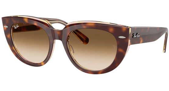 Ray-Ban Doreen RB2286 141451 - Sonnenbrille Damen - Fassung: Havanna, Kunststoff, Eckig - Ansicht 2