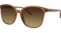SunRay 06-37020-02 5517, Hellbraun transparent