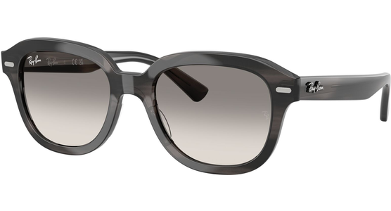 Ray-Ban Erik RB4398 140432 - Ansicht 4