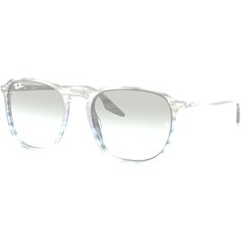 Ray-Ban RB2203 1391GK Sonnenbrille
