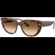 Ray-Ban Doreen RB2286 141451