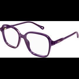  Chloé CH0313O 54 004