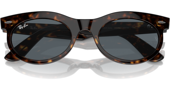 Ray-Ban Wayfarer Oval RB2242 902/R5 - Ansicht 6