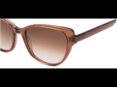 FRAIMS Sun Sonnenbrille Damen FRAIMS 13-08030-02 Alanis, Braun Transparent glänzend Ansicht 5
