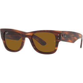 Ray ban wayfarer modelli discount
