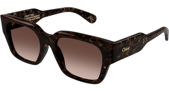 Chloé CH0190S HAVANA Sonnenbrille - Ansicht 2