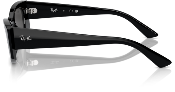Ray-Ban Kat Bio-Based RB4427 667787 - Ansicht 4