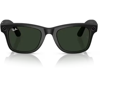  Ray-Ban Meta Wayfarer RW4008 601S1M 53 Matt Schwarz selbsttönende Gläser Graphit Grün (Gen 1) Ansicht 4