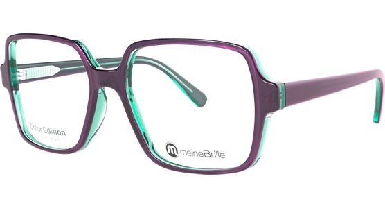 meineBrille 04-60080-01 - Ansicht 2