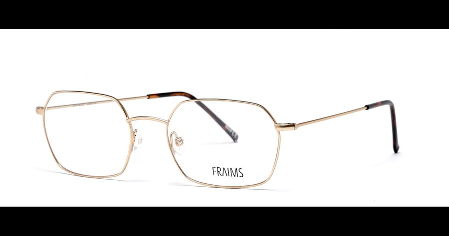 FRAIMS 03-97240-02 Taylor, Gold Matt Brille