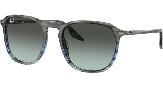 Ray-Ban RB2203 1391GK Sonnenbrille - Ansicht 2