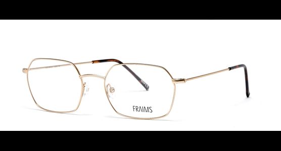 FRAIMS 03-97240-02 Taylor, Gold Matt Brille - Ansicht 2