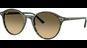 Ray-Ban Bernard RB2230 14210A