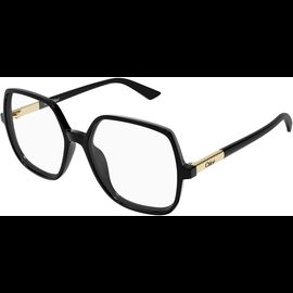  Chloé CH0368O 54 001