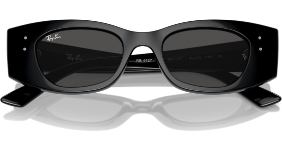 Ray-Ban Kat Bio-Based RB4427 667787 - Ansicht 6