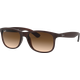 Ray-Ban RB4202 Andy Braun 607313 55