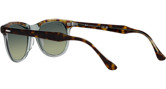 Ray-Ban Eagle Eye RB2398 1376BH - Ansicht 5