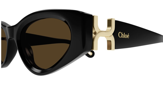 Chloé CH0259S 52 Schwarz - Ansicht 4