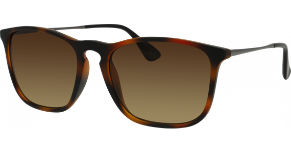 SunRay 06-47230-01, Havanna matt/Grau Sonnenbrille - Ansicht 2