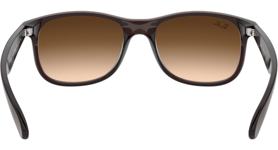 Ray-Ban RB4202 Andy Braun 607313 55 - Ansicht 11