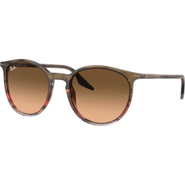 Ray-Ban RB2204 13953B Sonnenbrille