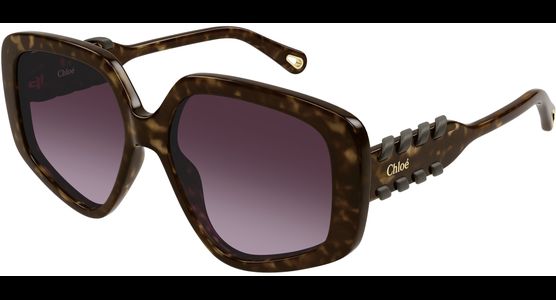 Chloé CH0210S HAVANA Sonnenbrille - Ansicht 2
