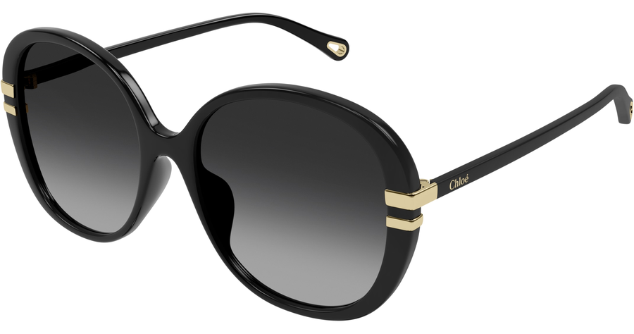 Chloé CH0207SK BLACK Schmetterling Sonnenbrille