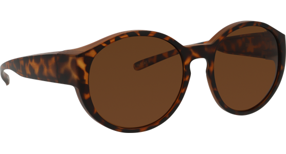 Sunray Pola Überbrille 06-57430-03 - Ansicht 5